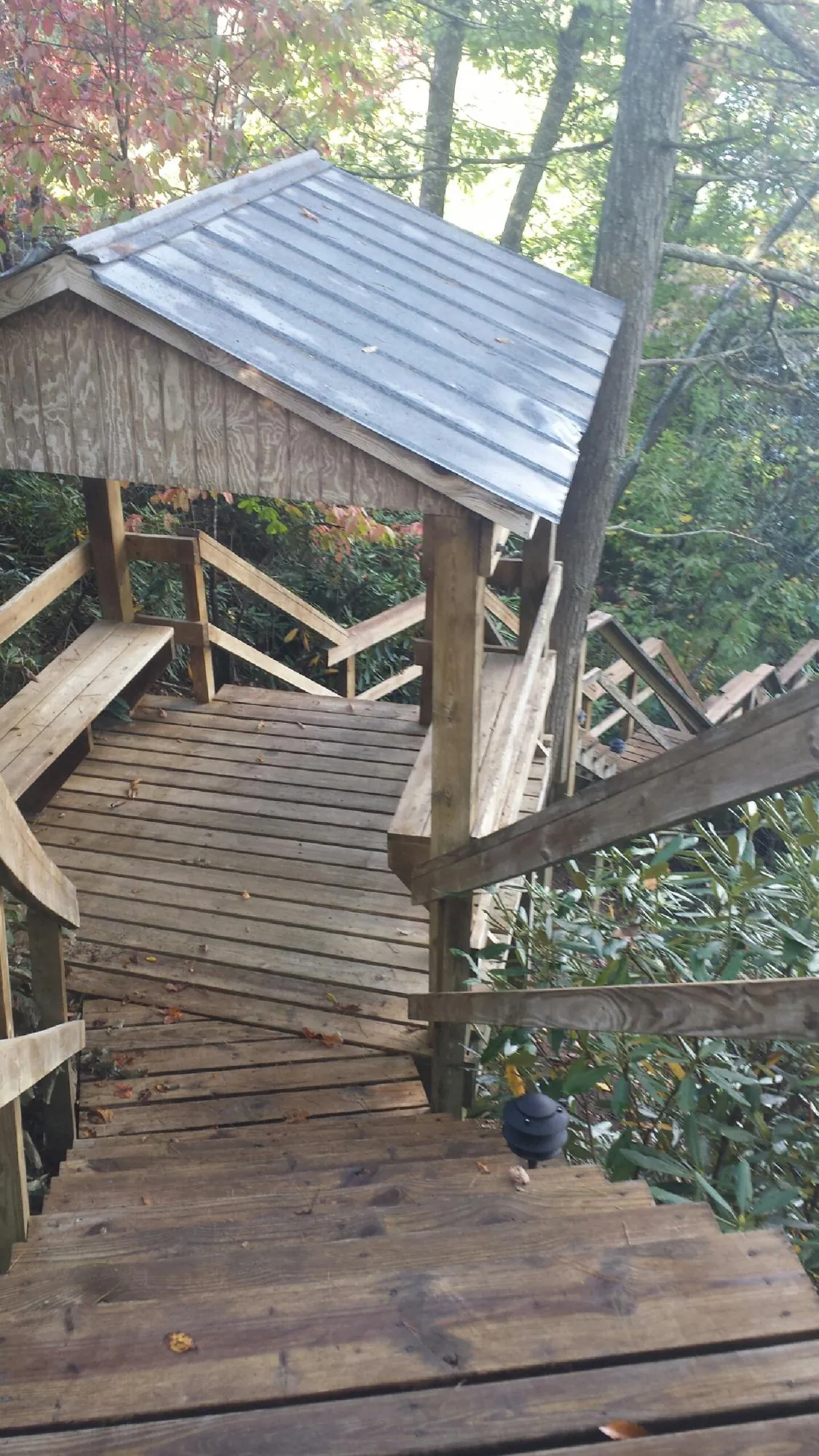 Metal roofed shelter over wooden steps on a wooded walkway — Skylight Repair & Installation work by our crew in Cave Springs